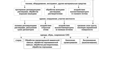 Photo of Роль службы дезинсекции в обеспечении санитарной безопасности